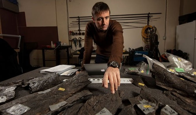 Dr.Erich Fitzgerald dari Museum Victoria menghitung pecahan bagian jumbai Triceratops di Kanada pada 27 Januari 2020. (Xinhua/John Broomfield)