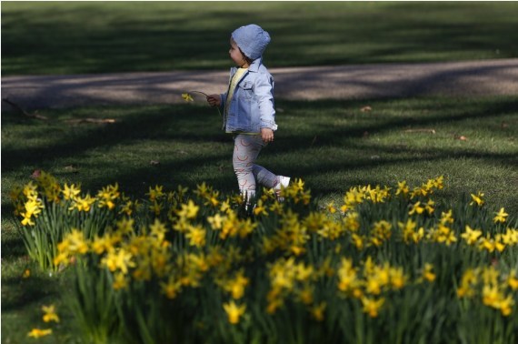 Seorang anak terlihat di St James's Park di London tengah, Inggris, pada 26 Februari 2021. (Xinhua/Han Yan)