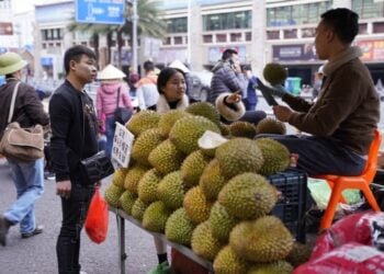 Orang-orang membeli durian dari seorang pedagang Vietnam di Pasar Grosir Internasional Wanzhong di Dongxing, Daerah Otonom Etnis Zhuang Guangxi, China selatan, pada 27 Desember 2019. (Xinhua/Yang Chi)
