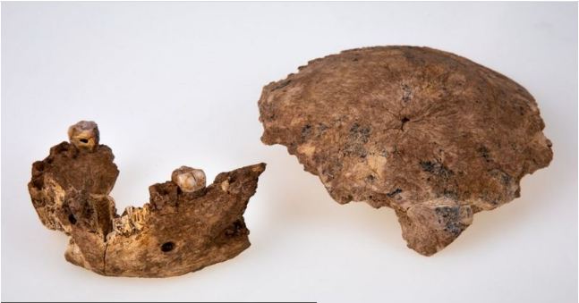 Fragmen tengkorak dan tulang rahang ditemukan di dekat Ramla di Israel