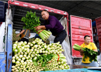 Para staf memindahkan sayuran di pusat logistik di wilayah Zhongmu yang terletak di Kota Zhengzhou, Provinsi Henan, China tengah, pada 22 Juli 2021. Berbagai langkah telah diambil untuk memastikan ketersediaan produk pertanian di Zhengzhou, yang baru-baru ini dilanda banjir akibat hujan deras. Saat ini, pasokan sayuran di kota itu sudah mencukupi dengan harga yang stabil. (Xinhua)