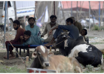 Para pedagang hewan ternak menunggu kedatangan pembeli di pasar hewan menjelang Hari Raya Idul Adha di pinggiran Islamabad, ibu kota Pakistan, pada 11 Juli 2021. (Xinhua)