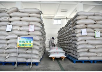 Seorang staf memindahkan bahan mentah di gudang milik sebuah perusahaan pengolahan jelai dataran tinggi di wilayah Lhorong, Prefektur Chamdo, Daerah Otonom Tibet, China barat daya, pada 24 Juli 2021.  (Xinhua/Li Xin)