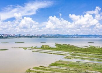 Foto dari udara yang diabadikan pada 7 Juli 2021 ini menunjukkan Cagar Alam Nasional Caohai di Wilayah Otonom Etnis Yi, Hui, dan Miao Weining, Provinsi Guizhou, China barat daya. (Xinhua/Tao Liang)
