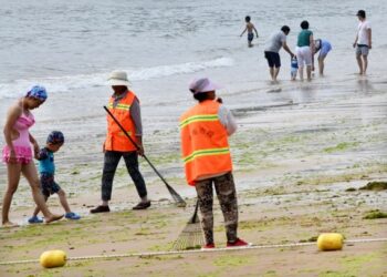 Para pekerja membersihkan alga di sepanjang pantai di Qingdao, Provinsi Shandong, China timur, pada 17 Juli 2019. (Xinhua/Li Ziheng)