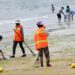 Para pekerja membersihkan alga di sepanjang pantai di Qingdao, Provinsi Shandong, China timur, pada 17 Juli 2019. (Xinhua/Li Ziheng)