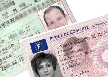 Foto ilustrasi SIM China dan Prancis. /ist