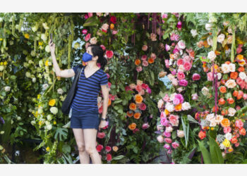 Seorang wanita berswafoto dengan latar instalasi bunga di Toronto, Kanada, pada 5 Agustus 2021. Dengan 35 desain bunga yang unik, instalasi bunga Fleurs de Villes Toronto dipamerkan pada 4-8 Agustus di Toronto untuk mendukung Penelitian Kanker Payudara. (Xinhua/Zou Zheng)