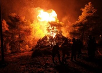 Para petugas pemadam kebakaran memadamkan kobaran api di dekat Desa Makrymalli di Pulau Evia, Yunani, pada 13 Agustus 2019. (Xinhua/Nick Paleologos)