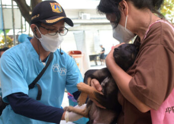 Seekor anjing peliharaan menerima vaksin rabies gratis di Jakarta pada 27 September 2021. (Xinhua/Zulkarnain)