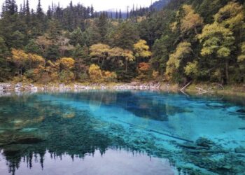 Foto yang diabadikan pada 27 September 2021 ini menunjukkan pemandangan Lembah Jiuzhai di wilayah Jiuzhaigou, Provinsi Sichuan, China barat daya. Lembah Jiuzhai, destinasi wisata terkenal di Provinsi Sichuan, kembali dibuka secara penuh untuk pengunjung pada Selasa (28/9). (Xinhua/Hui Xiaoyong)