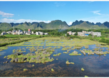 Foto dari udara yang diabadikan pada 31 Agustus 2021 ini menunjukkan pemandangan taman lahan basah Sungai Chengjiang yang berada di Wilayah Otonom Etnis Yao Du'an, Daerah Otonom Etnis Zhuang Guangxi, China selatan. (Xinhua/Zhou Hua)