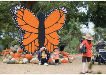 Pengunjung mengabadikan momen di Desa Labu Arboretum di Dallas, Texas, Amerika Serikat, pada 28 September 2021. Mengusung tema "Bugtopia", Desa Labu kembali hadir di objek wisata Dallas Arboretum dengan menyajikan lebih dari 90.000 varietas labu, labu botol, dan squash. (Xinhua/Tian Dan)