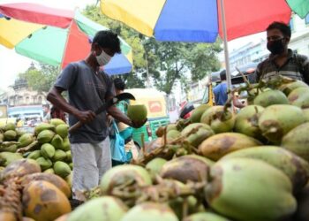 Para pedagang kaki lima menjual kelapa saat hari yang panas di Hari Kelapa Sedunia, yang diperingati setiap tahun oleh Komunitas Kelapa Asia-Pasifik (Asian Pacific Coconut Community/APCC) di Agartala, ibu kota Negara Bagian Tripura, India timur laut, pada 2 September 2021. (Xinhua/Str)