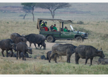 Para turis berwisata di Cagar Alam Nasional Masai Mara, Kenya, pada 30 Agustus 2021. (Xinhua/Long Lei)