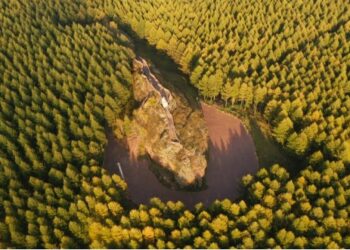Foto dari udara yang diabadikan pada 23 September 2021 ini menunjukkan pemandangan musim gugur pertanian hutan Saihanba di Provinsi Hebei, China utara. (Xinhua/Jin Haoyuan)