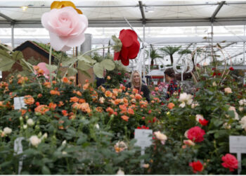 Orang-orang menghadiri Royal Horticultural Society (RHS) Chelsea Flower Show yang dibuka hanya untuk kunjungan media (press day) di London, Inggris, pada 20 September 2021. (Xinhua/Han Yan)