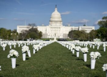 Foto yang diabadikan pada 13 April 2021 ini menunjukkan 40.000 bunga sutra putih yang diletakkan di National Mall untuk menghormati hampir 40.000 warga Amerika yang meninggal setiap tahun akibat aksi kekerasan dengan senjata api di Washington DC, Amerika Serikat. (Xinhua/Liu Jie)