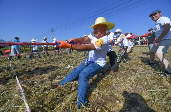 Para petani berpartisipasi dalam permainan tarik tambang di Datong, Kota Jiande di Provinsi Zhejiang, China timur, pada 22 September 2021. (Xinhua/Xu Yu)