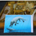 Foto ini menunjukkan fosil tulang paus amfibi berkaki empat dan foto berwarna dari bentuk imajiner paus tersebut di Pusat Paleontologi Vertebrata Universitas Mansoura Mesir di Provinsi Dakahlia, Mesir, pada 4 September 2021. (Xinhua/Ahmed Gomaa)