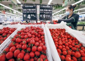 Seorang staf toko swalayan menyusun tomat ceri di Kota Zunhua, Tangshan, Provinsi Hebei, China utara, pada 9 Agustus 2021. (Xinhua/Liu Mancang)