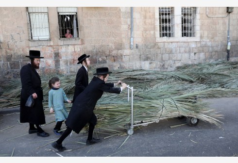 Umat Yahudi Ultra-Ortodoks memindahkan ranting pohon palem untuk membangun sukkah atau pondok daun yang akan digunakan selama perayaan Sukkot, festival Yahudi yang berlangsung selama sepekan, di Mea Shearim, Yerusalem, pada 17 September 2021. (Xinhua/Gil Cohen Magen)