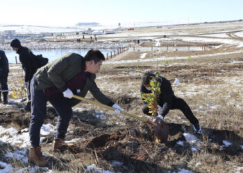 Orang-orang menanam pohon di Distrik Nalaikh, Ulan Bator, Mongolia, pada 10 Oktober 2021. (Xinhua/Suriya)