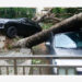 Pohon-pohon yang tumbang diterjang Topan Kompasu menimpa sejumlah mobil di Haikou, ibu kota Provinsi Hainan, China selatan, pada 13 Oktober 2021. (Xinhua/Yang Guanyu)