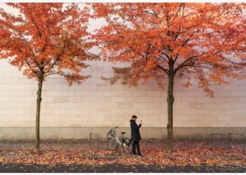 Seorang pria mengabadikan foto pemandangan musim gugur di Berlin, ibu kota Jerman, pada 28 Oktober 2021. (Xinhua/Shan Yuqi)