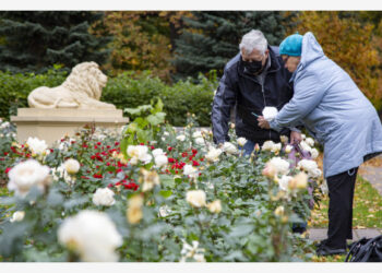 Orang-orang memotret bunga di Riga, Latvia, pada 5 Oktober 2021. (Xinhua/Edijs Palens)