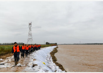 Tim penyelamat memperkuat tanggul Sungai Kuning di Kota Zouping, Provinsi Shandong, China timur, pada 4 Oktober 2021. Kantor pusat pengendalian banjir dan penanggulangan kekeringan di Shandong pada 1 Oktober mengaktifkan tanggap darurat level IV saat ketinggian air Sungai Kuning di provinsi itu mendekati garis peringatan. (Xinhua/Li Xiaowei)