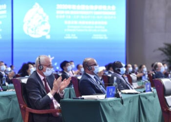 Foto yang diabadikan pada 12 Oktober 2021 ini menunjukkan konferensi tingkat tinggi para pemimpin pertemuan ke-15 Konferensi Para Pihak Konvensi PBB tentang Keanekaragaman Hayati (UN Convention on Biological Diversity/COP15) yang diadakan di Kunming, Provinsi Yunnan, China barat daya. (Xinhua/Li Xin)