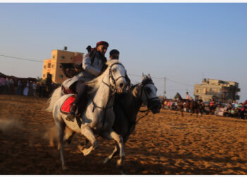 Para joki Palestina menunggangi kuda ketika mereka berpartisipasi dalam ajang balap unta dan kuda tradisional setempat di Kota Rafah, Jalur Gaza selatan, pada 24 Oktober 2021. (Xinhua/Khaled Omar)