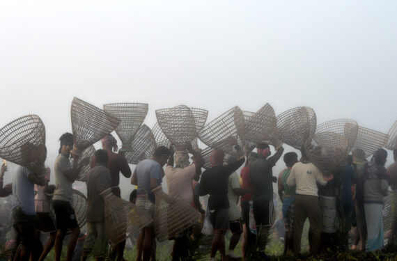 PABNA, Sambil membawa polos (perangkap ikan tradisional dari bambu), orang-orang berangkat untuk berburu ikan secara tradisional di sebuah area berawa di Pabna, Bangladesh, pada 27 November 2021. (Xinhua)