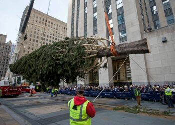 Sebuah crane mengangkat pohon Natal Rockefeller Center di Rockefeller Plaza, di New York, Amerika Serikat, pada 9 November 2019. (Xinhua/Michael Nagle)