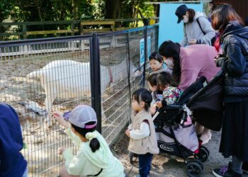 Orang-orang memberi makan hewan selama libur Hari Apresiasi Kerja Jepang di Taman Chikozen di Saitama, Jepang, pada 23 November 2021. (Xinhua/Zhang Xiaoyu)