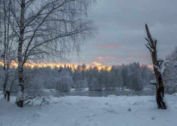 OGRE, Foto yang diabadikan pada 7 Desember 2021 ini menunjukkan pemandangan musim dingin di Ogre, Latvia. (Xinhua/Edijs Palens)