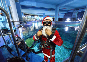 BANGKOK, Seorang penyelam yang memakai kostum Sinterklas bersiap untuk memberi makan ikan di Bangkok Ocean World di Bangkok, Thailand, pada 8 Desember 2021. Menyambut Natal, Bangkok Ocean World menggelar pertunjukan selam "Sinterklas". (Xinhua/Rachen Sageamsak)