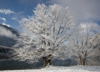 DANAU BOHINJ, Foto yang diabadikan pada 7 Desember 2021 ini menunjukkan pemandangan musim dingin Danau Bohinj di Taman Nasional Triglav, Slovenia. (Xinhua/Zeljko Stevanic)