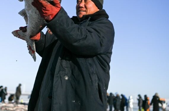 Seorang nelayan menunjukkan seekor ikan yang baru ditangkap di Danau Chagan di Kota Songyuan, Provinsi Jilin, China timur laut, pada 26 Desember 2021. (Xinhua/Yan Linyun)