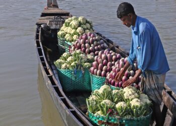Sebuah perahu yang memuat sayuran terlihat di sungai di pinggiran Chattogram, Bangladesh, pada 15 Desember 2021. (Xinhua)
