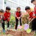 Anak-anak menanam sebuah bibit di halaman sekolah taman kanak-kanak mereka di Ji'an, Provinsi Jiangxi, China timur, pada 12 Maret 2021. (Xinhua/Liao Min)