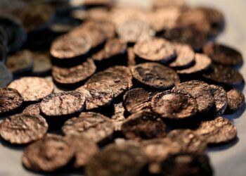 Foto yang diabadikan pada 22 Desember 2021 ini menunjukkan koin-koin yang ditemukan dari reruntuhan kapal kuno di Laut Mediterania, dipajang di laboratorium Otoritas Kepurbakalaan Israel di Yerusalem. (Xinhua/Gil Cohen Magen)