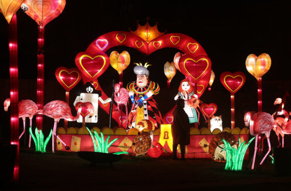 ANTWERP, Pengunjung menikmati instalasi cahaya dalam festival cahaya China edisi keenam bertema "Alice in Wonderland" di Kebun Binatang Antwerp di Antwerp, Belgia, pada 12 Januari 2022. (Xinhua/Zheng Huansong)