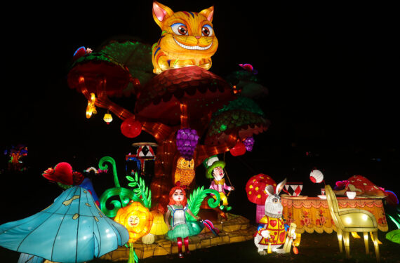 ANTWERP, Pemandangan instalasi cahaya dalam festival cahaya China edisi keenam bertema "Alice in Wonderland" di Kebun Binatang Antwerp di Antwerp, Belgia, pada 12 Januari 2022. (Xinhua/Zheng Huansong)
