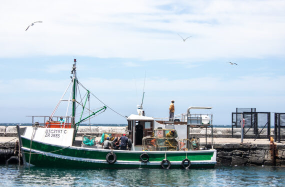 CAPE TOWN, Sebuah kapal nelayan tengah berlabuh di dermaga pelabuhan Kalk Bay di Cape Town, Afrika Selatan, pada 13 Januari 2022. (Xinhua/Lyu Tianran)