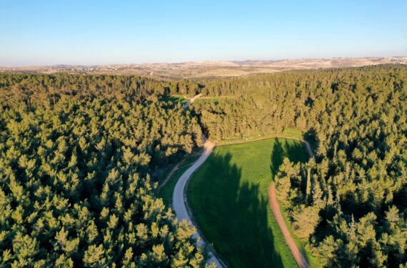 MODIIN, Foto dari udara yang diabadikan pada 17 Januari 2022 ini menunjukkan pemandangan Hutan Ben Shemen di dekat Kota Modiin, Israel tengah. (Xinhua/Gil Cohen Magen)