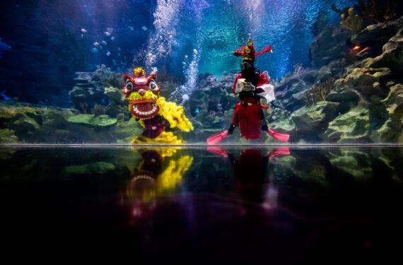 KUALA LUMPUR, Para penyelam yang mengenakan kostum barongsai dan Dewa Keberuntungan menampilkan pertunjukan dalam air untuk merayakan Tahun Baru Imlek selama acara pratinjau media di akuarium Aquaria KLCC di Kuala Lumpur, Malaysia, pada 21 Januari 2022. (Xinhua/Zhu Wei)