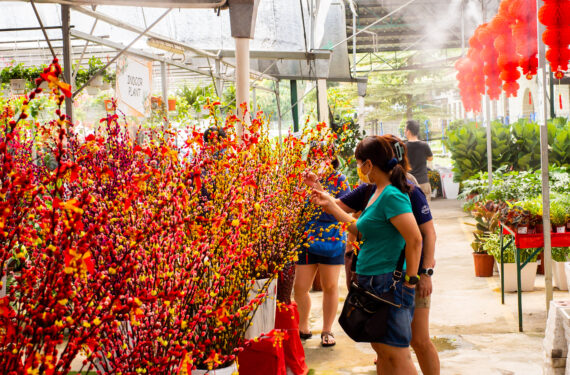 KUALA LUMPUR, Orang-orang membeli tanaman untuk Tahun Baru Imlek di sebuah toko tanaman di dekat Kuala Lumpur, Malaysia, pada 23 Januari 2022. Orang-orang menghiasi rumah mereka dengan tanaman dan bunga serta hiasan tradisional seperti lampion merah dan kuplet menjelang perayaan Tahun Baru Imlek. (Xinhua/Zhu Wei)