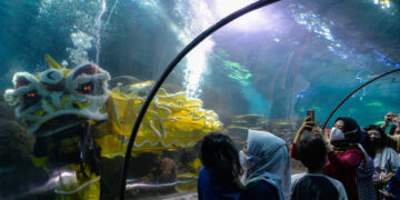 JAKARTA, Para pengunjung mengabadikan foto penyelam yang tengah melakukan pertunjukan barongsai di bawah air dalam rangka perayaan Tahun Baru Imlek mendatang di Sea World Ancol di Jakarta pada 24 Januari 2022. (Xinhua/Xu Qin)